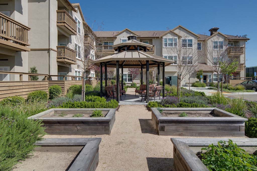 Meadow Wood at Alamo Creek photo 2